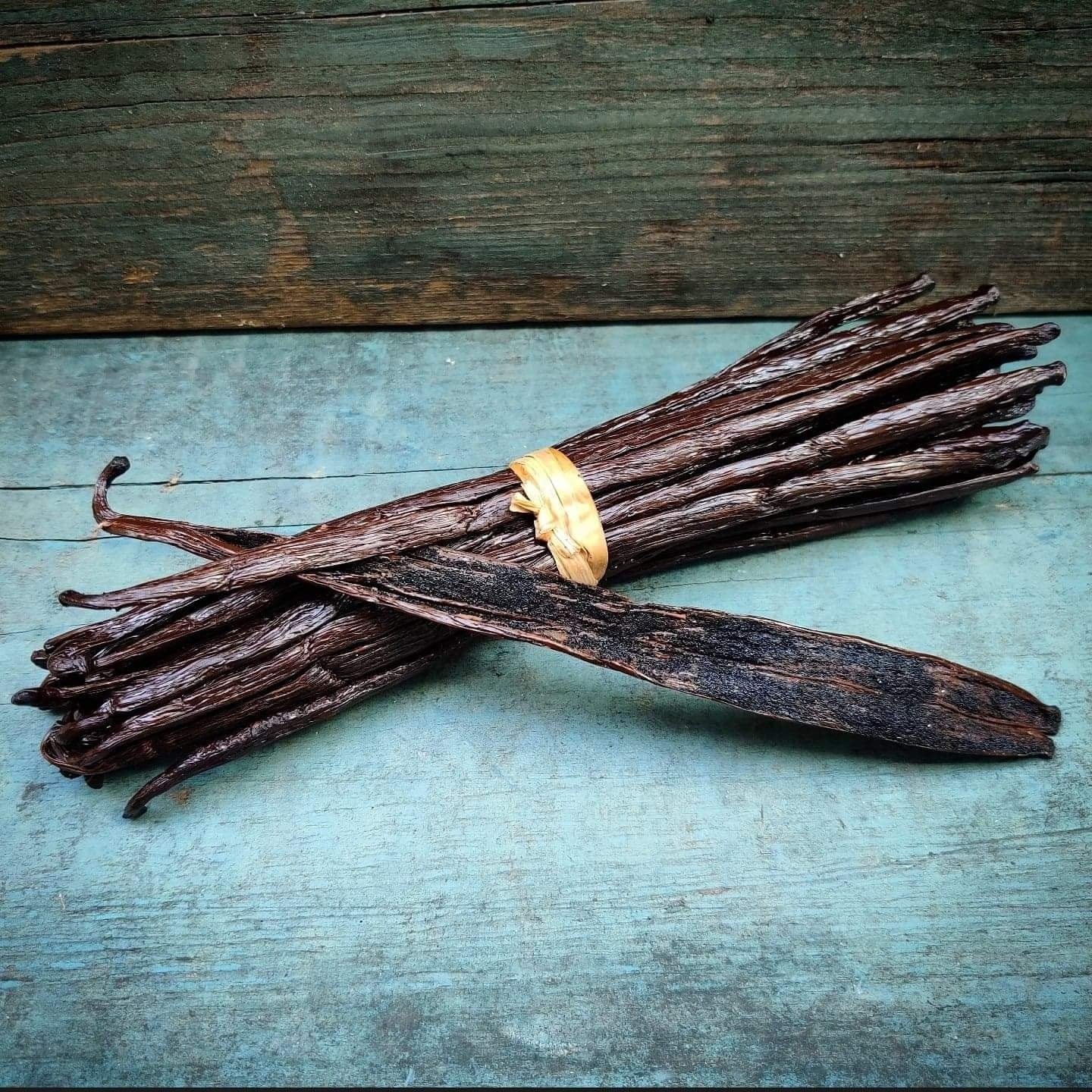 Engros Madagaskar Gourmet Noir Vaniljestænger