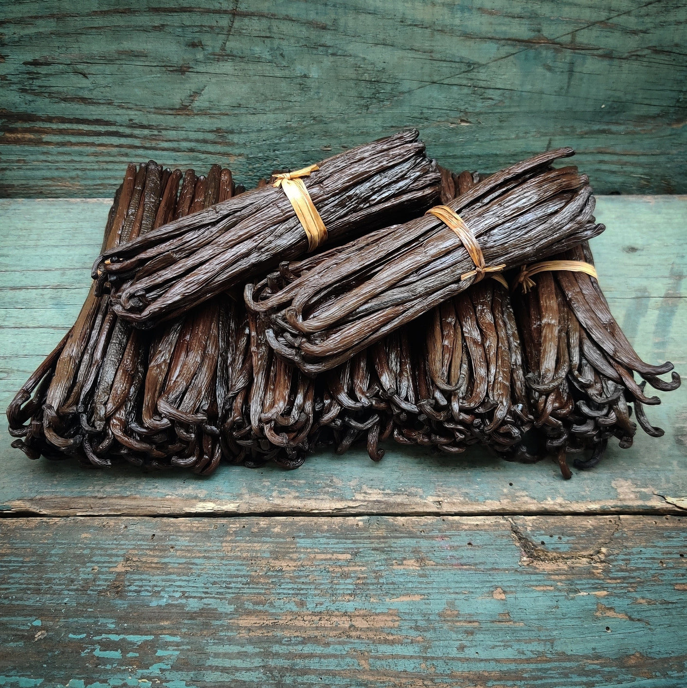 Madagaskar Gourmet Noir Vaniljestænger